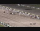 2018年　第64回 クイーン賞（JpnⅢ）【アイアンテーラー】