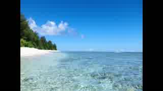 【癒し】浜辺の波の音《10分》（睡眠用BGM・作業用BGM・ASMR）