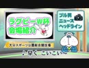 ブル男の「ラグビーW杯会場紹介」大分スポーツ公園総合競技場2018年12月21日