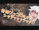 MHW「PC版」真！へっぽこハンターあかりちゃん！part2「装備なしで上位モンスター討伐イェエァァァァ！その②」