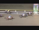 2018年12月12日船橋競馬12R ｎａｎｋａｎオールスターパークｉｎ船橋賞(B2-二組) ヴィグラスムーヴ