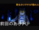 [猫2匹飼い始めました]NEKOJISHI part.14