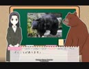 講習会を作ろうサンプル【クマに注意！】