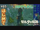 【実況】ゼルダ童貞による ゼルダの伝説BotW（ブレスオブザワイルド）~はじめてのしれん~Part85