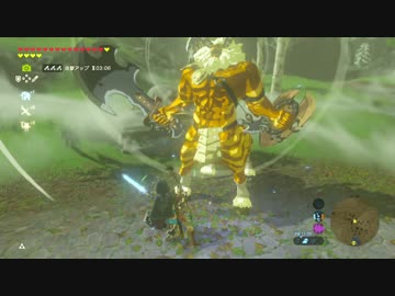 厄災かけますね.botw33