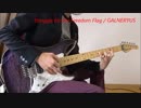 GALNERYUS - Struggle for the Freedom Flag / Guitar Cover