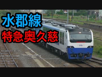 【迷列車で行こう】小ネタ編(1) ローカル線に特急が走る？