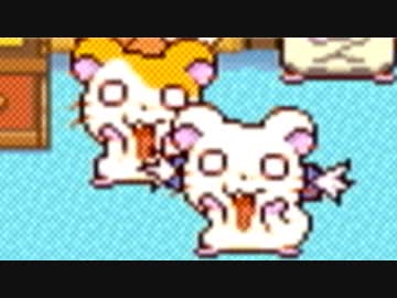 【ハム太郎３】 愛は世界を救うのだ part4 【実況】