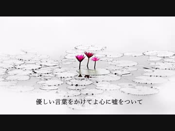 ロータスサンクチュアリ / すぷら