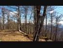 【奥多摩縦走ツェルト泊】5つの山を制した男・その3ー②.雲取山～鷹ノ巣山避難小屋縦走
