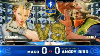 CapcomCup2018 スト5AE TOP24Losers マゴ vs AngryBird