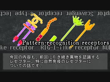 【ゆっくり解説】自然免疫系のレセプター