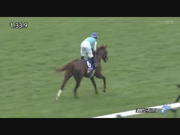 【強すぎ】第70回 朝日杯フューチュリティステークス（GⅠ）