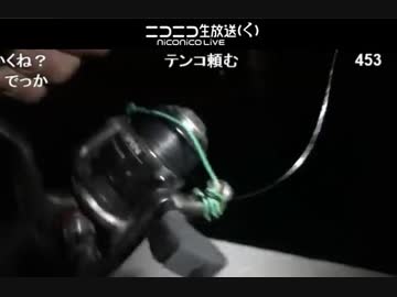 釣り　極寒の中のドンコ釣り