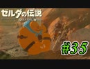 【ゼルダ実況】兄貴リンクと舎弟ユン坊  #35 【ゼルダの伝説ブレスオブザワイルド】