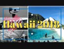 ハワイ2018/第0回・旅程/手ぶらスタビライザーの制作過程