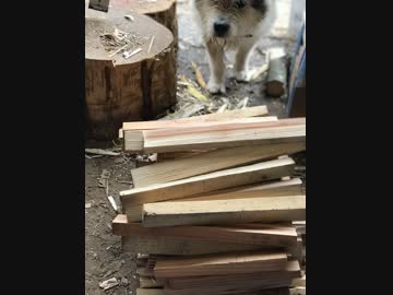 スマートスプリッターで焚付け用薪割り　牧場暮らし