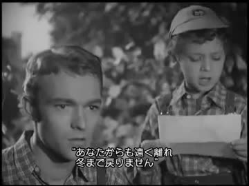 我が青春のマリアンヌ