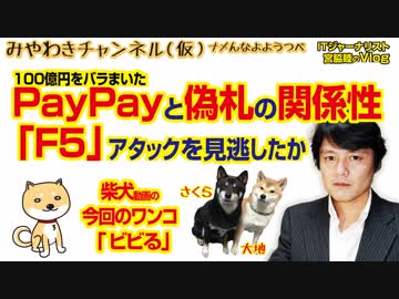 100億円をバラまいたPayPayと偽札の関係性。「F5」アタックを見逃したか｜みやわきチャンネル（仮）#306