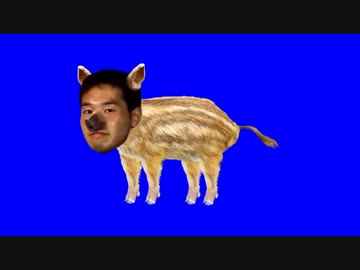 猪と化した先輩BB