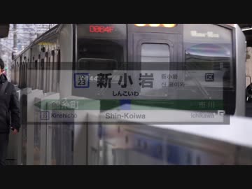 ホームドア族のしんこいわ