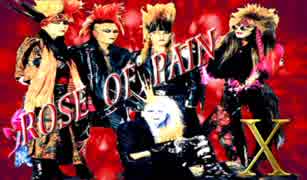 《ﾗｲﾌﾞ》 ROSE OF PAIN