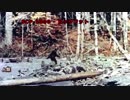 SCP-1000 - ビッグフット