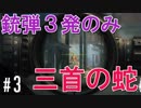 銃弾たった３発で３人のターゲットを遠距離から暗殺する - 三首の蛇【ヒットマン2】 #3  HITMAN2