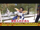 【ドラゴンボール芸人】まろに☆え～るＴＶ-Z 其之十一【茨城】