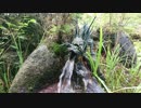 【生海月】なまくらじお【2018.12.21】
