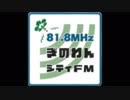 水曜ちゅらちゅら作戦　2018年12月19日放送分