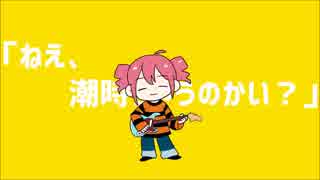 平気？ / 薄塩指数 (カバー)