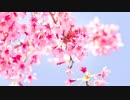 【NNI】旅立ちの日に【アレンジ】