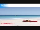 Cleanest Beaches to Visit in Florida