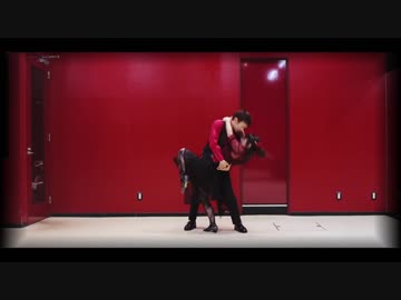 【腐男女】チェリーハント を踊ってみた【オリジナル振付】