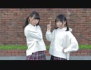 【しらす＋とまや】　ニュース39を踊ってみた　【わんこ】