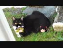 【ゆっくり挨拶】ありがとう２０１８年、さよなら２０１８年！