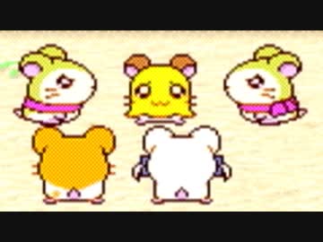 【ハム太郎３】 愛は世界を救うのだ part5 【実況】