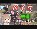 【秩父】ささらん車載でpart22 バイクで林道を走りに行こう！【奥武蔵GL】