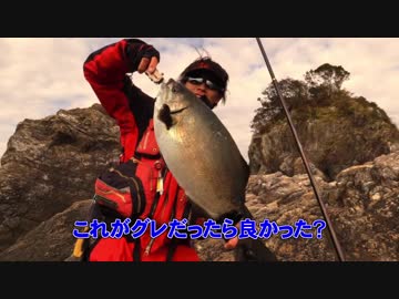 イスズミアタック！！