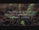Begabtenzentrum Hochbegabung Fluch oder Segen - Hochbegabung bei Kindern erkennen und fördern