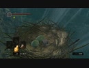 セスタスだけで行くDARK SOULS part5