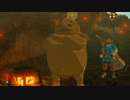 【実況】十五の掟で挑むブレスオブザワイルド～part.27～