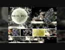 歌ってみた「現世の幻、儚きは（sunon）」黒い猫♂×苑