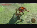 厄災かけますね.botw34
