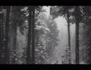 【癒し】除夜の鐘の音（睡眠用BGM・作業用BGM・ASMR）