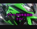 アネモネのNinja250その2