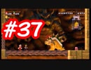 【２人実況】残念な２人が行く【NewスーパーマリオブラザーズWii】　part３７