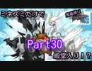 ミネズミだけで殿堂入りするポケモンブラック２part30
