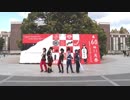 【刀ミュ】京都大学の学祭で『獣』を踊ってみた【コスプレ】